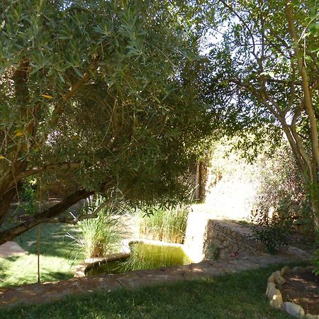 Agadir-Taghazout Magnifique Villa Dar Lina 4 Etoiles Екстериор снимка